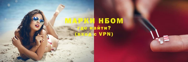 крисы Абаза