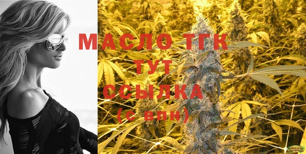 крисы Абаза